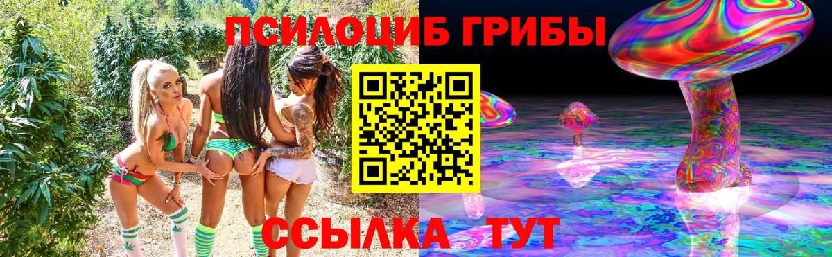 Клинцы  Галлюциногенные грибы Psilocybe  Вход с VPN 